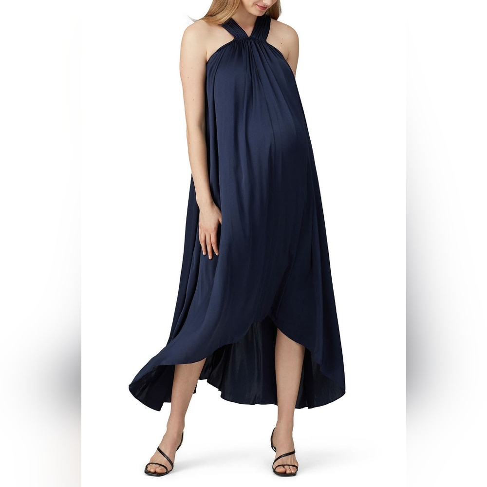 Hatch The Fete Maternity Dress